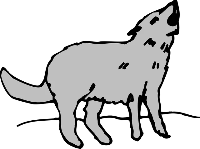 HOWL (S) | saszetka na ramie