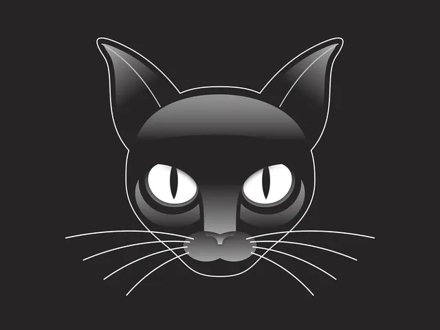Poszewka na poduszkę 40x40 | Moon Cat