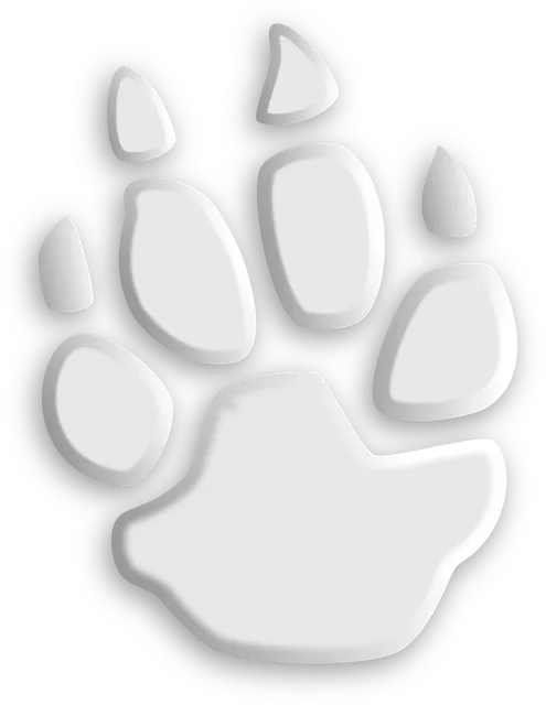 WOLF FILE | etui na dokumenty