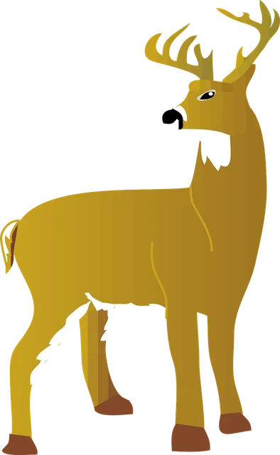 Plecak TRIANGLE | Deer