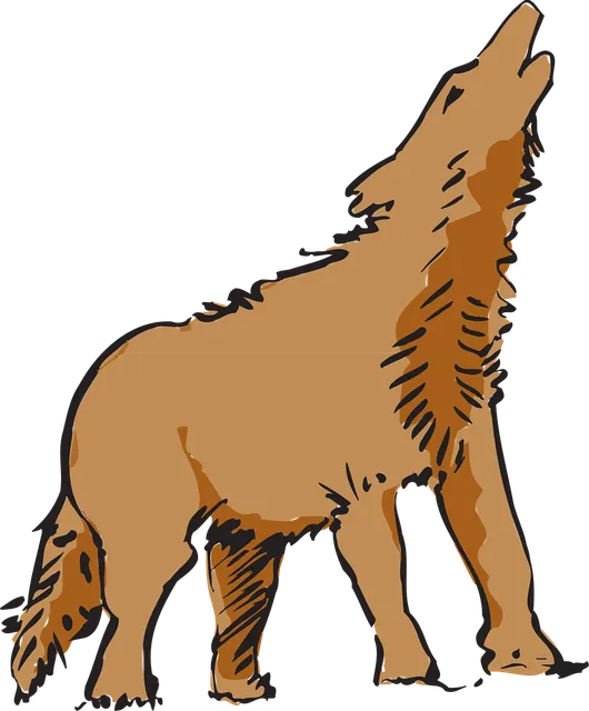 Geometrical Animals