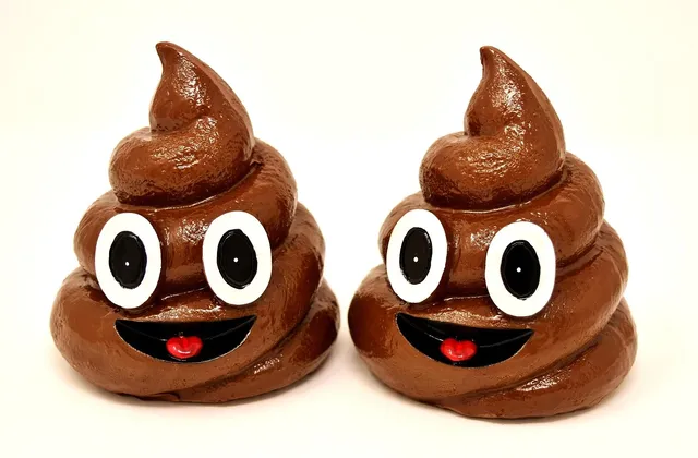 Etui na kupoworki emoji kupa | popielaty