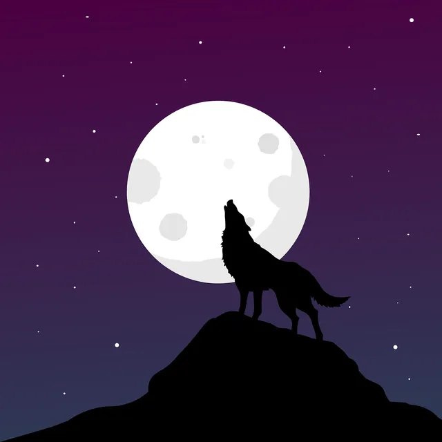 Filcowy brelok | Her Wolf Pack
