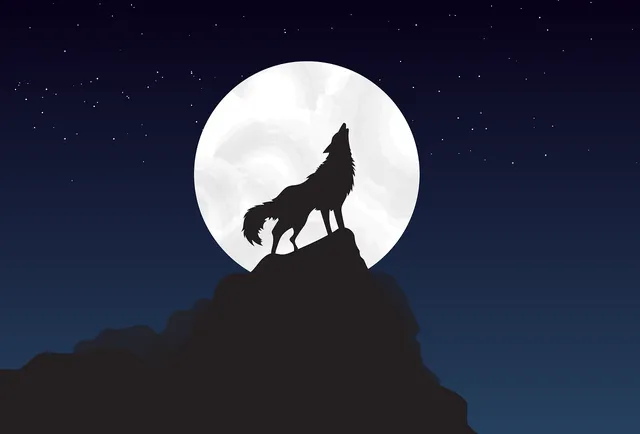 WOLF FILE | etui na dokumenty