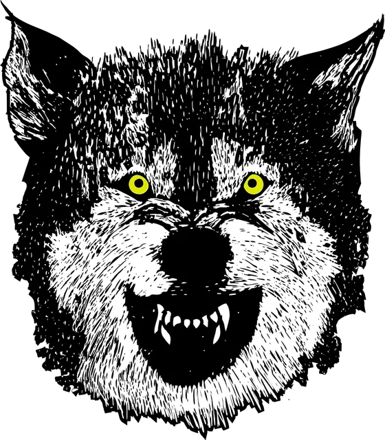 HOWL (L) | saszetka na ramie