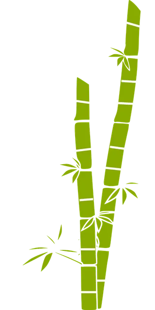 Czarny