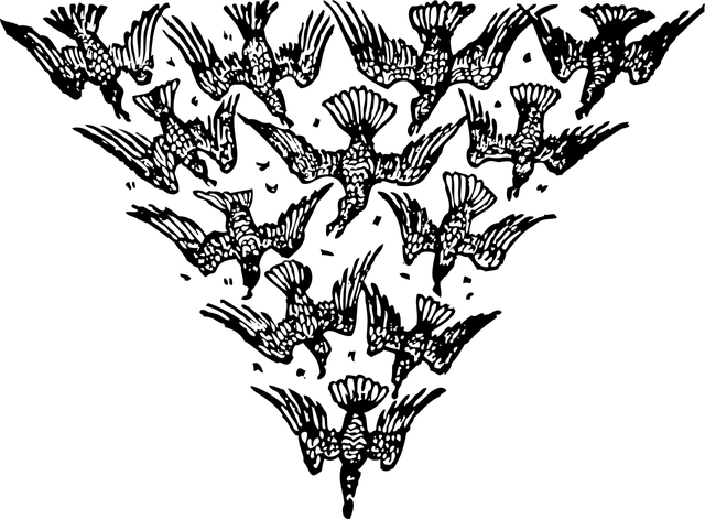 Plecak TRIANGLE | Butterfly