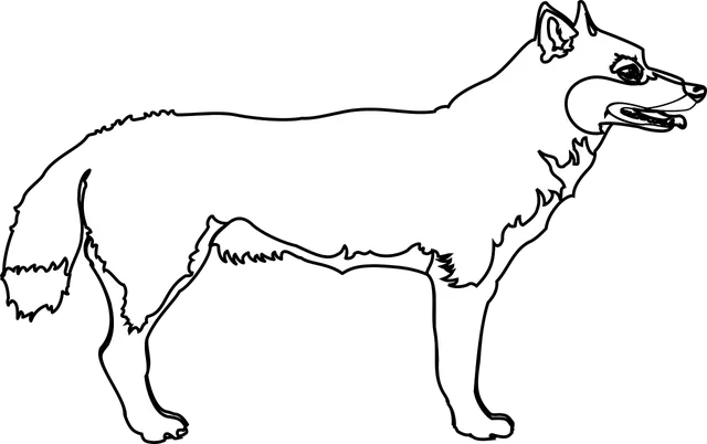 WOLF KEEPER | etui na dokumenty