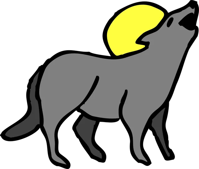 HOWL (S) | saszetka na ramie