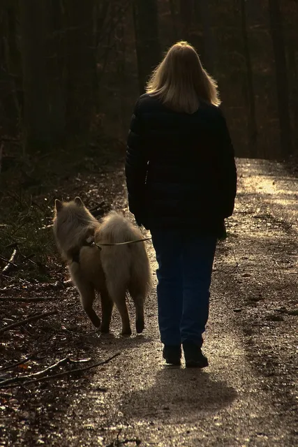 WOLF POCKET | portmonetka