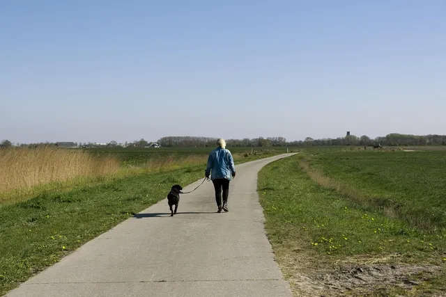 HOWL (S) | saszetka na ramie