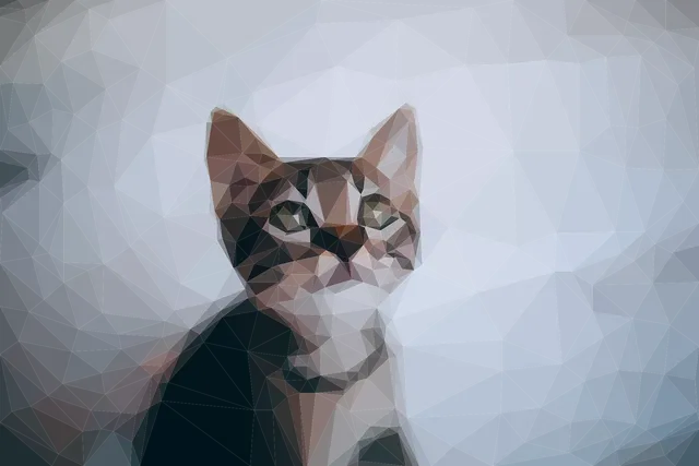 Poszewka na poduszkę 40x40 | Moon Cat