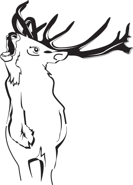 Plecak TRIANGLE | Deer