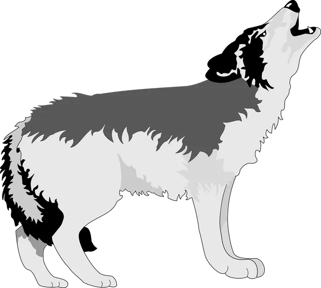 Torebka biodrowa WOLF | eko skóra