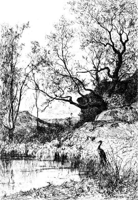 Torebka biodrowa GILLE | musztardowa