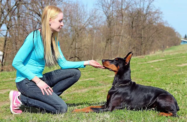 HOWL (L) | saszetka na ramie