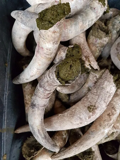 Torebka biodrowa BIGGIE | łapki przy sobie
