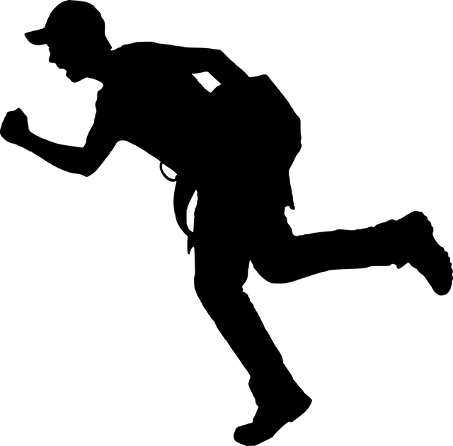 Plecak TRIANGLE | Fox