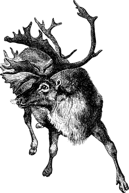 Plecak TRIANGLE | Deer