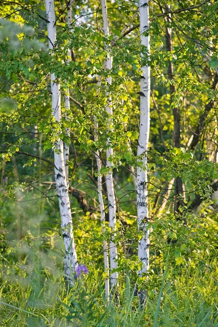 Fanny Pack WEDNESDAY