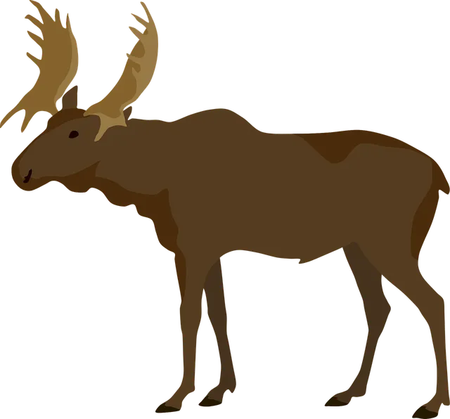 Plecak TRIANGLE | Deer