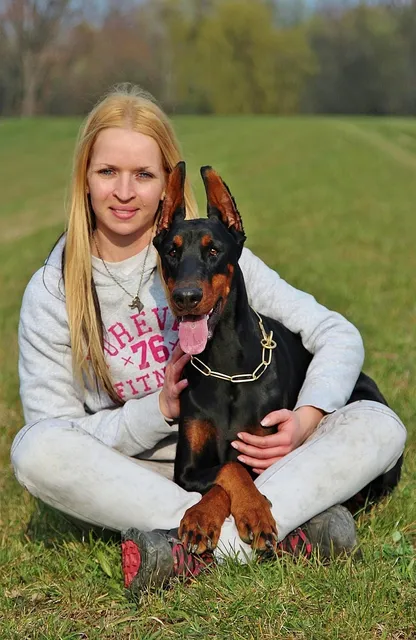 HOWL (S) | saszetka na ramie
