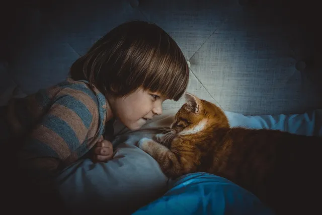 Poszewka na poduszkę 40x40 | I have plans with my cat