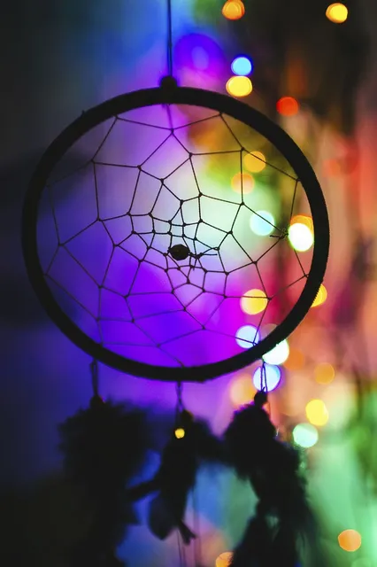 Torebka biodrowa BIGGIE | Dreamcatcher