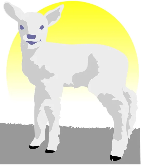 Fanny Pack SHEEP | wełna CHANNEL