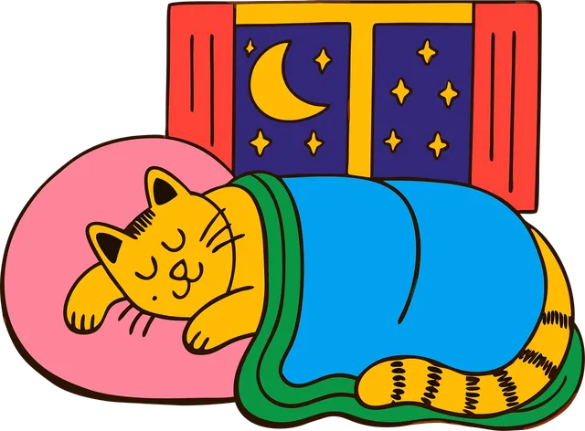 Poszewka na poduszkę 40x40 | I have plans with my cat