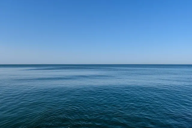 Torebka biodrowa MIDI | ocean blue